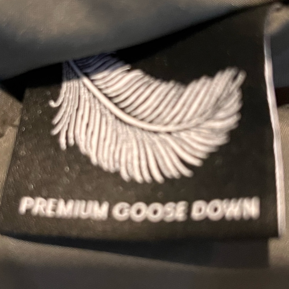Aritizia Wilfred Northstar Premium Goose Down Parka - Picture 11 of 12